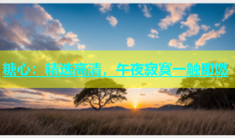 糖心：精选高清，午夜寂寞一触即燃