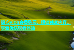 糖心vlog会员购买，解锁独家内容，享受优质观看体验