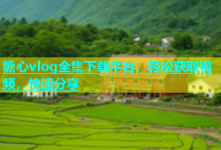 糖心vlog全集下载平台，轻松获取视频，快速分享
