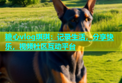 糖心vlog琪琪：记录生活，分享快乐，视频社区互动平台