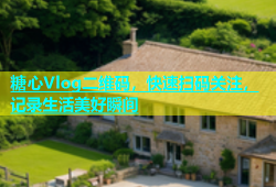 糖心Vlog二维码，快速扫码关注，记录生活美好瞬间