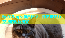 糖心Vlog女演员林夕：性感与魅力交织的视频盛宴