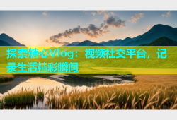 探索糖心Vlog：视频社交平台，记录生活精彩瞬间