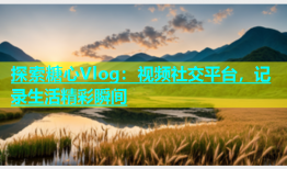 探索糖心Vlog：视频社交平台，记录生活精彩瞬间