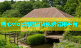 糖心vlog精选国货免费试用平台