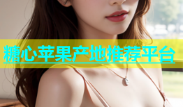 糖心苹果产地推荐平台