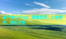 国产糖心Vlog：甜蜜日常，心动瞬间，精彩不停