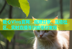 糖心Vlog官网：视频分享、互动社区、实时直播等功能等你发现