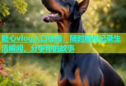 糖心vlog入口在线：随时随地记录生活瞬间，分享你的故事