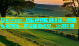 糖心vlog：精彩视频即刻播放，解锁私密互动，尽享甜蜜视界，火速围观