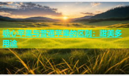 糖心苹果与普通苹果的区别：甜美多用途