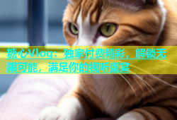 糖心Vlog：独家付费精彩，解锁无限可能，满足你的视听盛宴