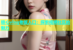 糖心vlog老版入口：探索视频社区的魅力