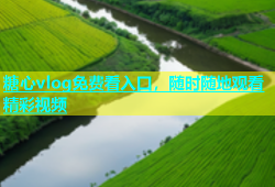 糖心vlog免费看入口，随时随地观看精彩视频