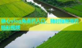 糖心vlog免费看入口，随时随地观看精彩视频