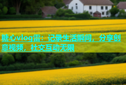 糖心vlog雷：记录生活瞬间，分享创意视频，社交互动无限