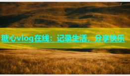 糖心vlog在线：记录生活，分享快乐