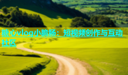 糖心vlog小脆肠：短视频创作与互动社区