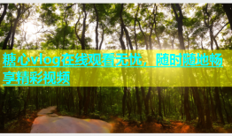 糖心vlog在线观看无忧，随时随地畅享精彩视频