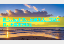 糖心vlog色板：记录生活，展现个性，分享美好瞬间