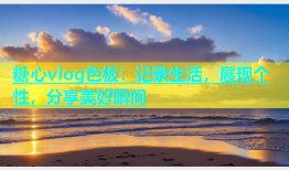 糖心vlog色板：记录生活，展现个性，分享美好瞬间