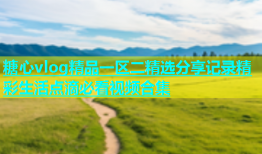 糖心vlog精品一区二精选分享记录精彩生活点滴必看视频合集