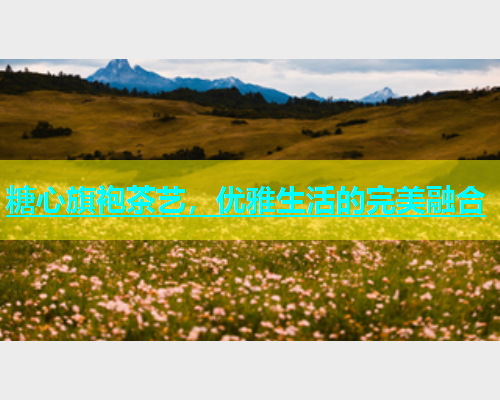 糖心旗袍茶艺，优雅生活的完美融合