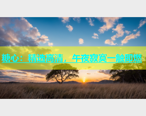糖心：精选高清，午夜寂寞一触即燃