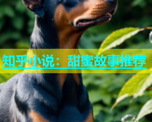 知乎小说：甜蜜故事推荐