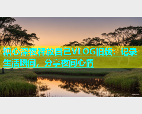 糖心深夜释放自己VLOG旧版：记录生活瞬间，分享夜间心情