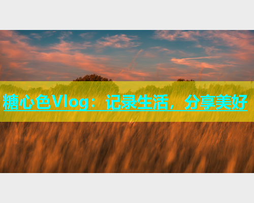 糖心色Vlog：记录生活，分享美好