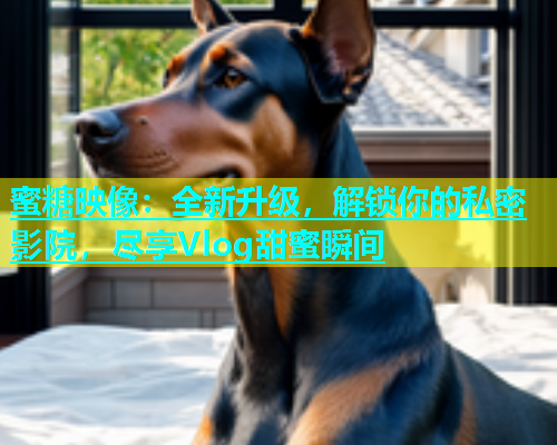 蜜糖映像：全新升级，解锁你的私密影院，尽享Vlog甜蜜瞬间